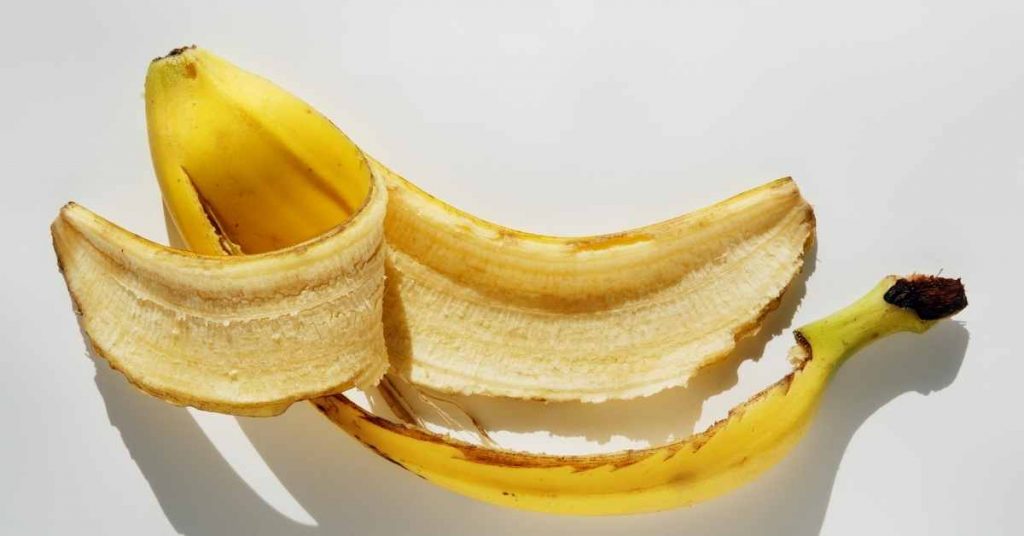 can dogs eat banana peels