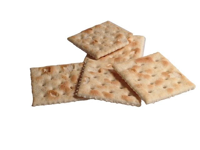 can-dogs-eat-saltine-crackers-it-s-a-doggie-thing