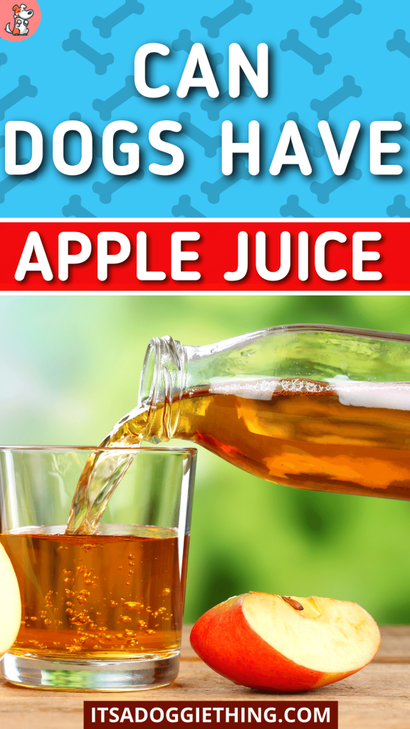 Can Dogs Eat Apple Juice