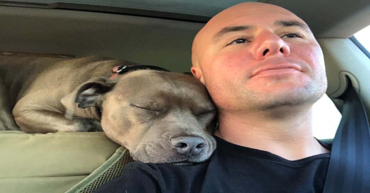 are blue nose pit bulls good with people