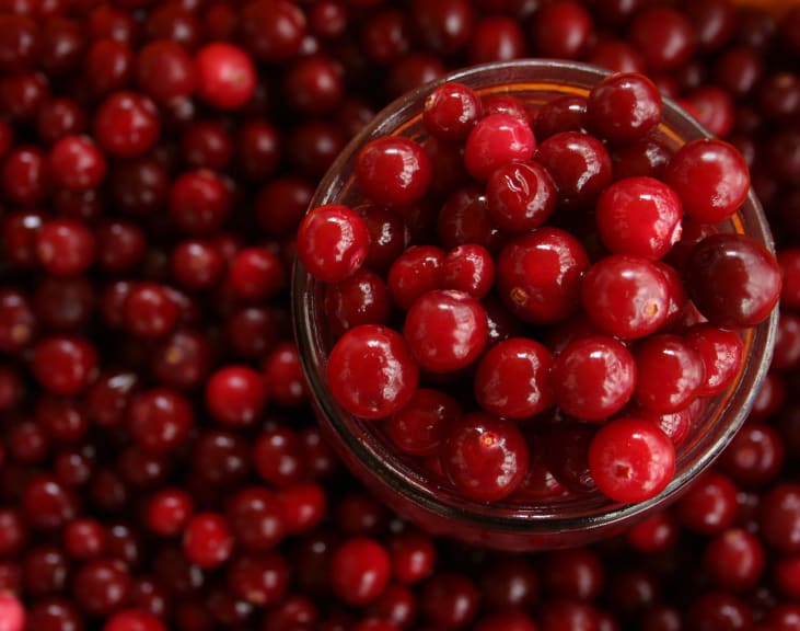 cranberries for dogs