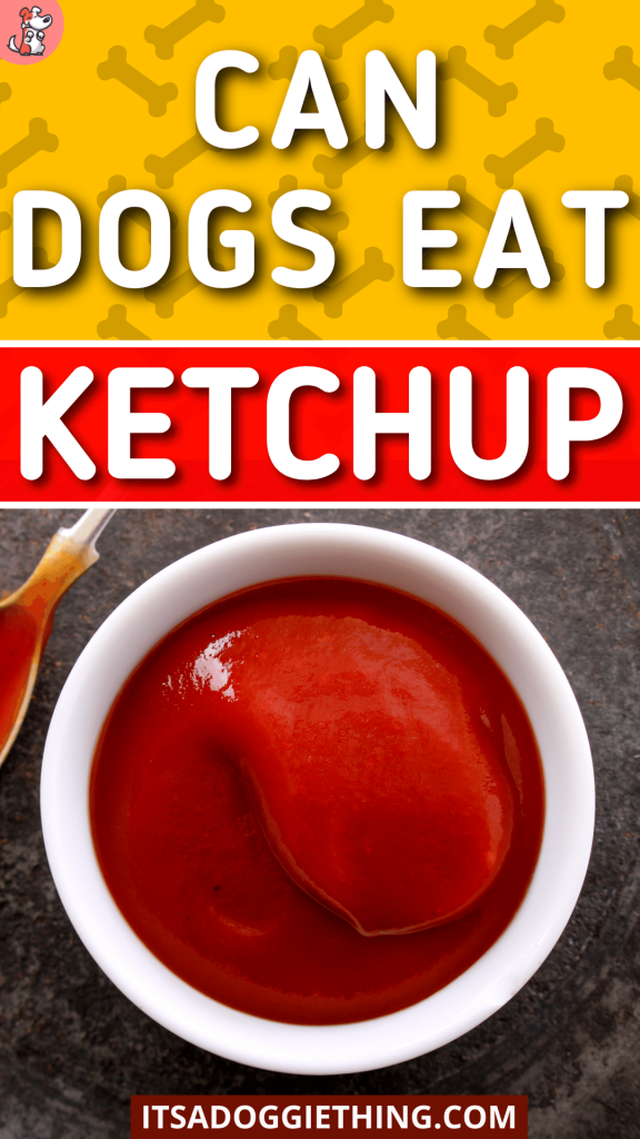 Can Dogs Eat Ketchup