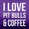 i love pit bulls and coffee purple tee white design