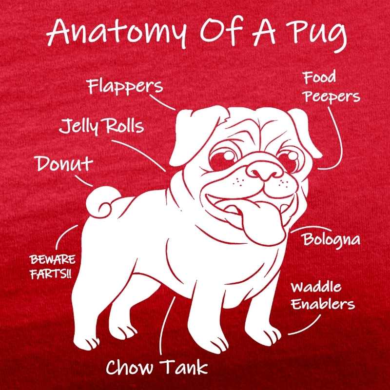 anatomy of a pug red tee white design
