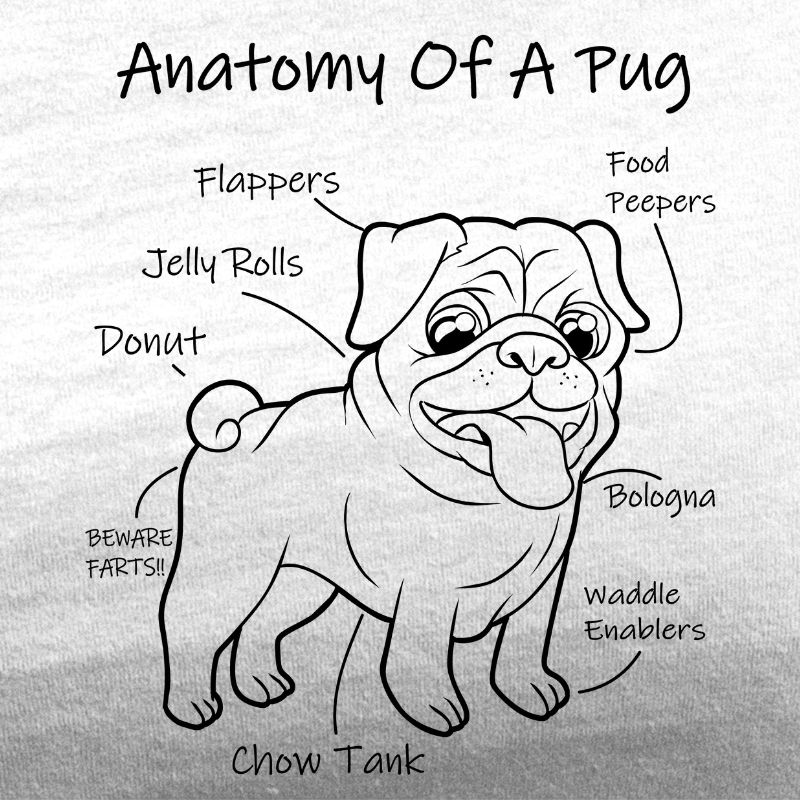 anatomy of a pug white tee black design