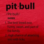 pit bull definition red tee black design