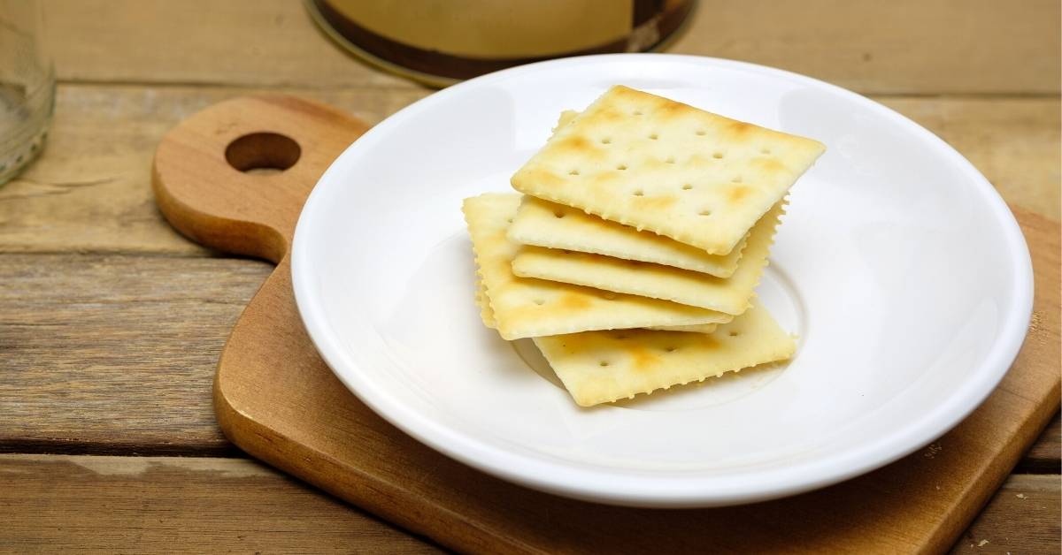 Can Dogs Eat Saltine Crackers - It's a Doggie Thing