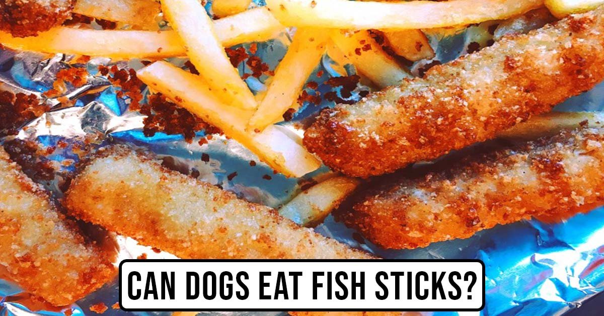 can dogs eat fish sticks