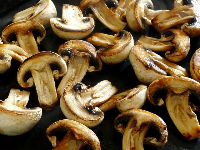 can dogs eat cooked mushrooms