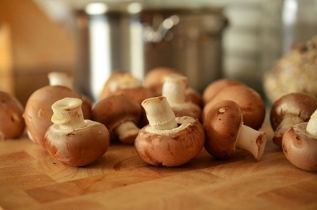 Can Dogs Eat Cooked Mushrooms Are Mushrooms Safe For Dogs