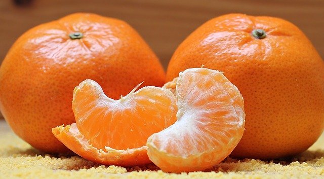 can-dogs-eat-oranges-should-i-give-my-dog-oranges