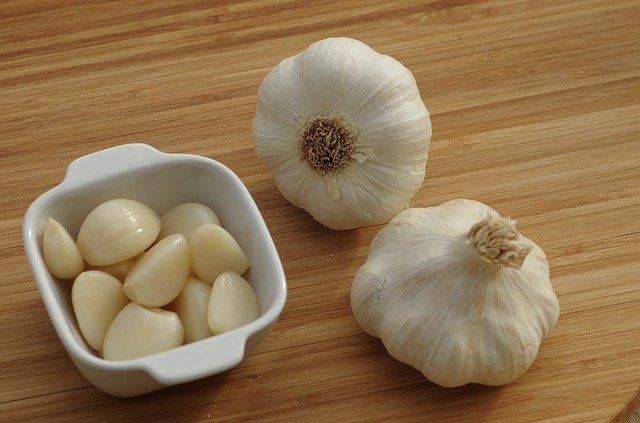 can garlic be given to dogs