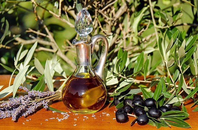 is olive oil safe for dogs