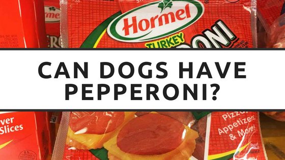 can dogs have pepperoni