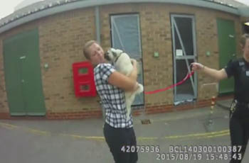 lola the pug stolen during burglary fi