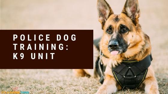 Police Dog Training K9 Unit