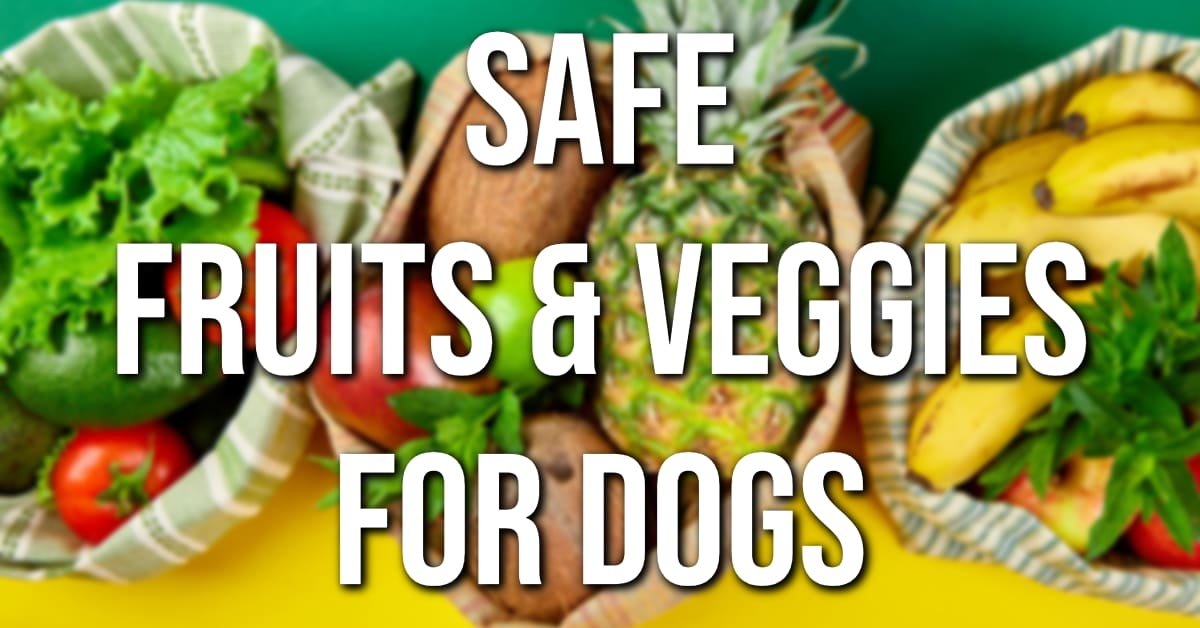 Fruits and Vegetables Safe For Dogs It's a Doggie Thing