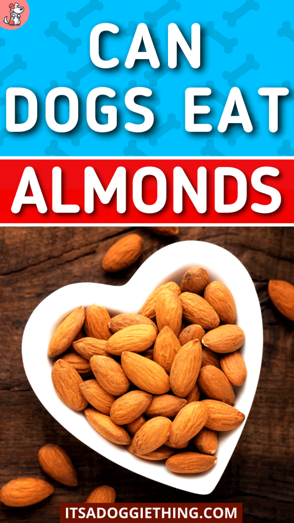Can Dogs Eat Almonds